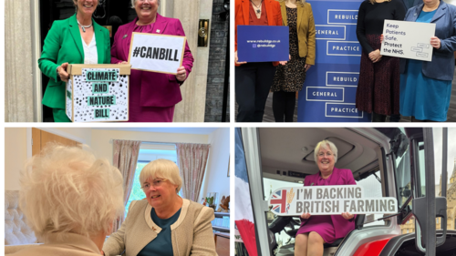 Charlotte Cane in her first 100 days